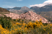 Panorama con ginestre